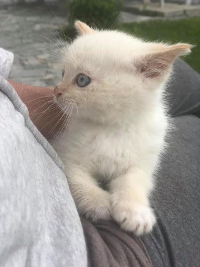 Penzion A Hospoda Na Statku Hluboká nad Vltavou 외부 사진